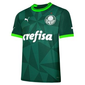 MAILLOT PALMEIRAS DOMICILE 2023 2024