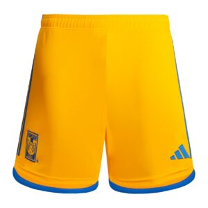 SHORT TIGRES DOMICILE 2023 2024